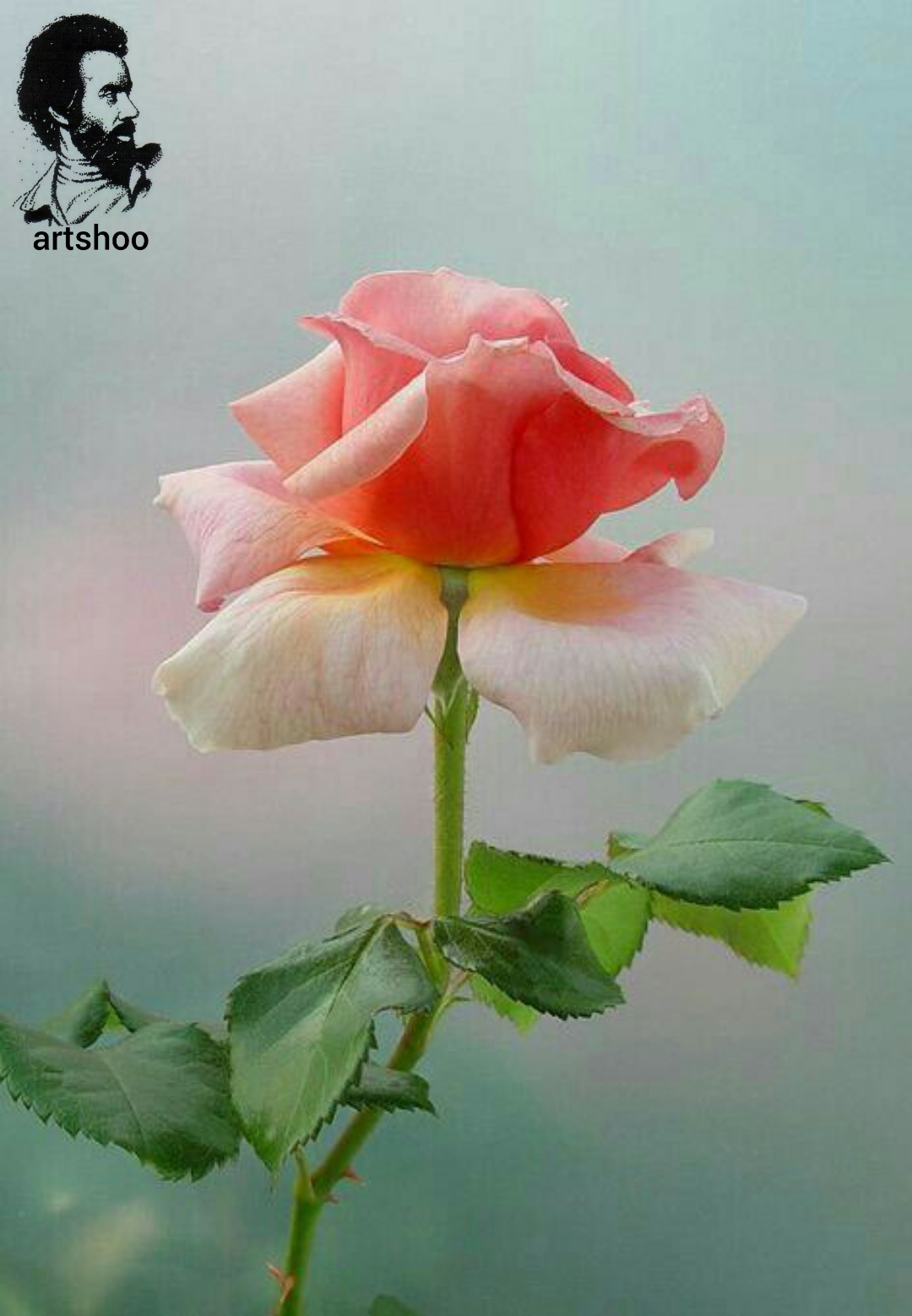 گل اورژینال رنگ روغن